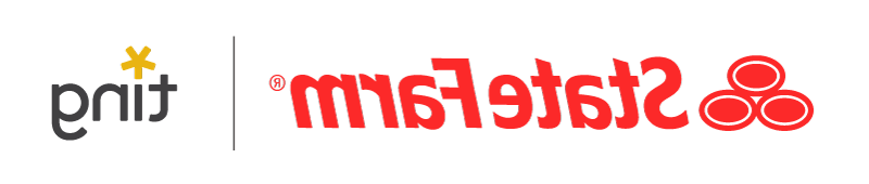 State Farm and Ting logo